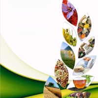 تولیدی و بازرگانی مواد غذایی و کشاورزی